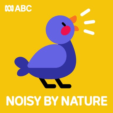 Noisy by Nature